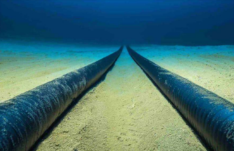 La promotora del parque eólico marino de Blackstone admite un impacto “elevado” en la pesca de A Coruña