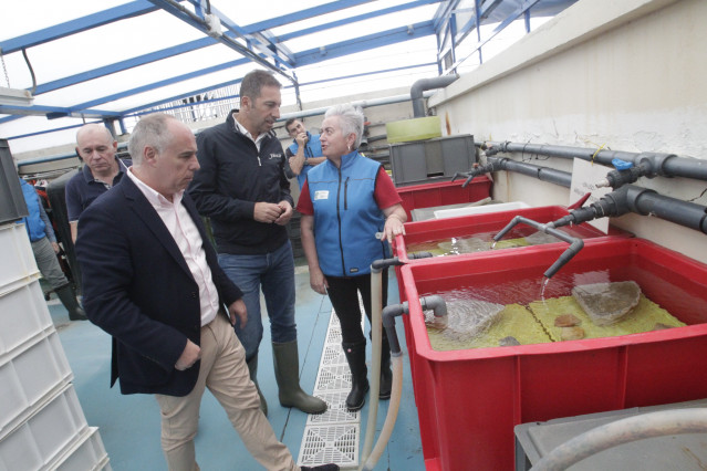 Visita del conselleiro do Mar, Alfonso Villares, a las instalaciones del Centro de Investigacións Mariñas (CIMA) de Vilanova de Arousa, a 25 de junio de 2024.