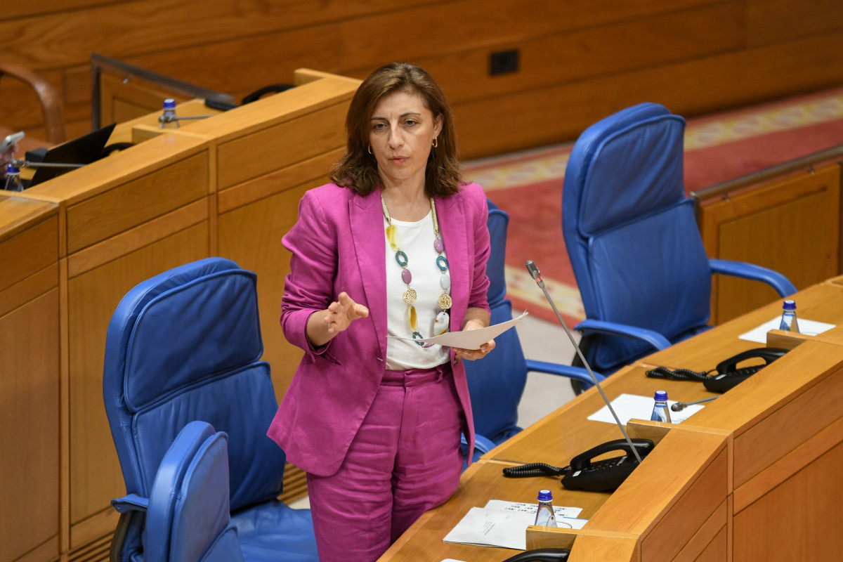 Ángeles Vázquez en el pleno de este miércoles.