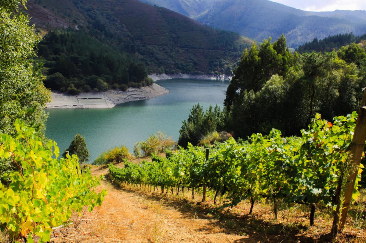 Vides en Negueira de Muu00f1iz