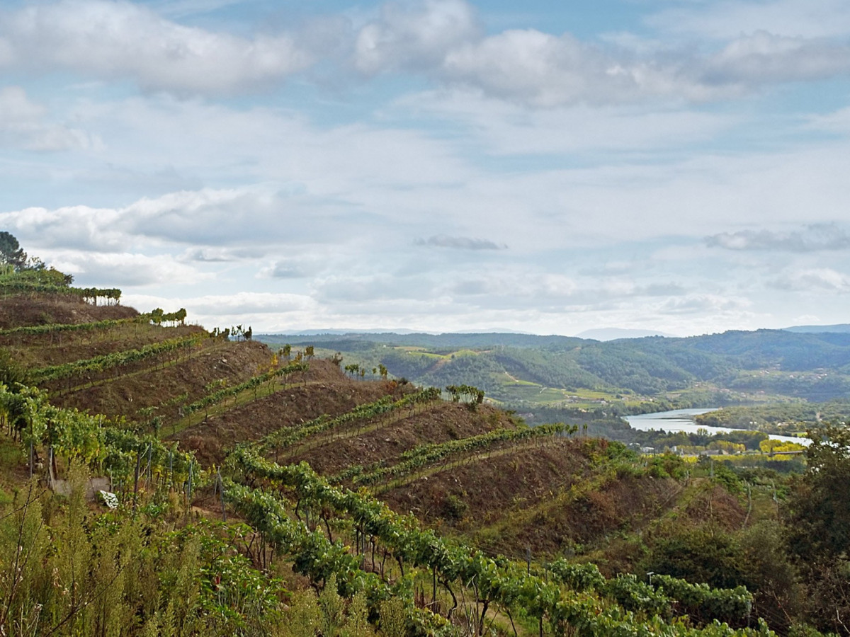 Vides val do miu00f1o