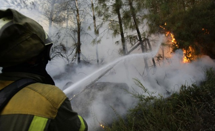 Extinguido o incendio forestal de Arbo