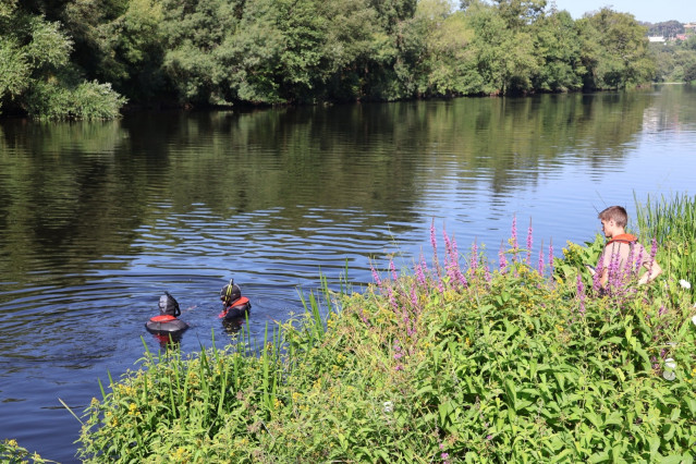 Autorizan al Ayuntamiento de Lugo a traslocar los mejillones de la zona del Miño donde prevé instalar una rampa.