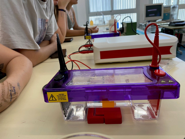 Archivo - Proyecto de biotecnología