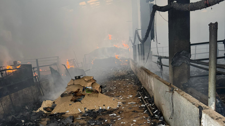 Medio centenar de becerros muertos en una granja de Lalín por el incendió que hirió al dueño de la explotación