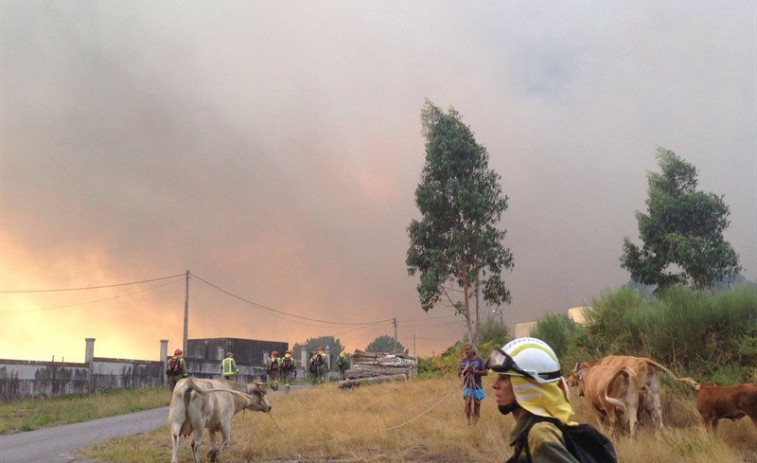 Las hectáreas quemadas desde el lunes ya alcanzan las 8,800