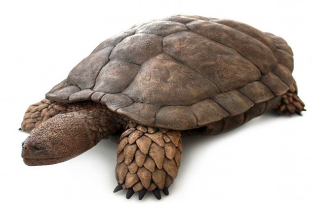 Fundación Dinópolis presenta sus nuevas investigaciones sobre vertebrados y paleobotánica en unas jornadas en La Coruña.