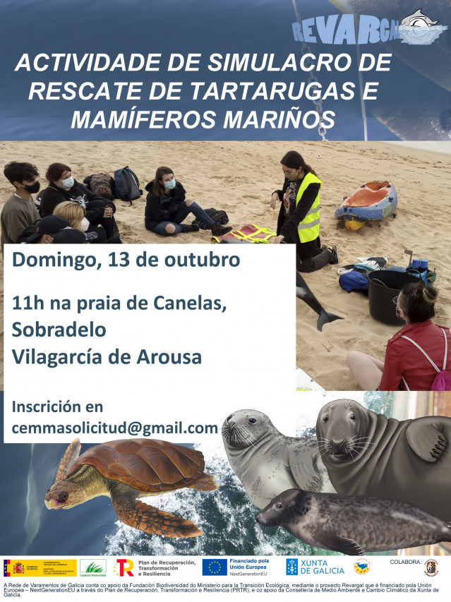 Cartel de la actividad