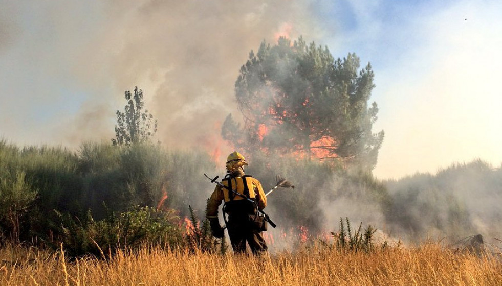 Incendioverintintoresbrif