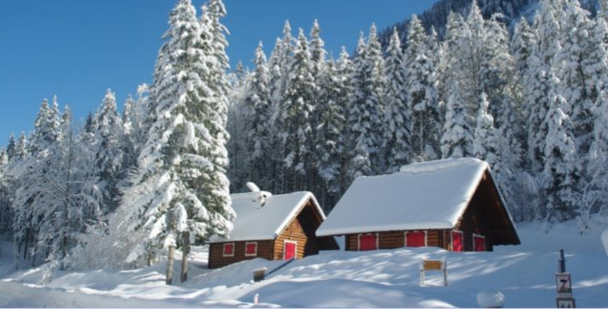 Screenshot 2024 12 06 11 42 49 955 com.google.android.apps.docs.editors.docs edit