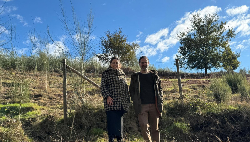 Presentación del proyecto forestal en Pazos de Borbén