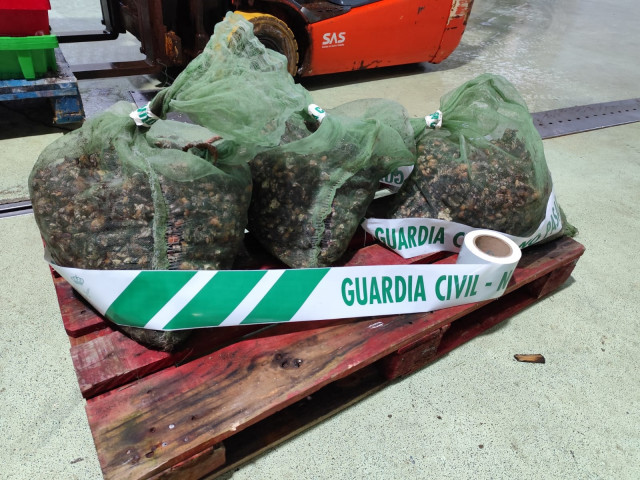 Percebes incautados en Xove (Lugo).