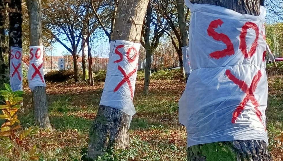 Ecologistas alertan de la 