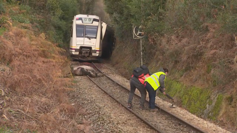 Descarrila un tren en Foz sin que se produzcan heridos