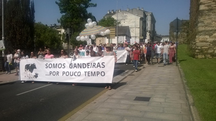FOTOGALERÍA | Vacas no canto de tractores na manifestación contra os baixos prezos do leite