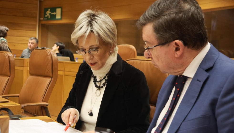 La diputada socialista Silvia Longueira