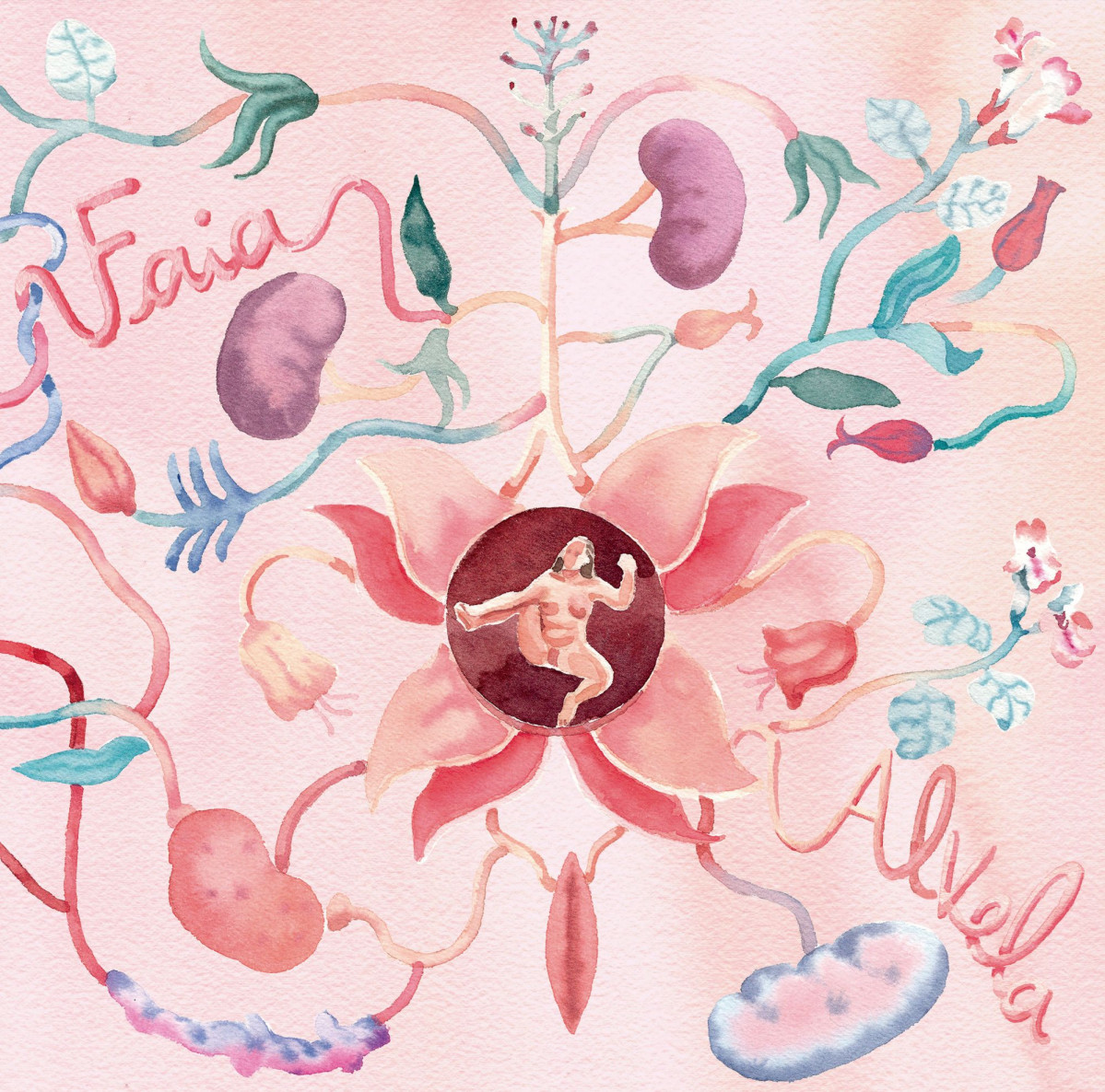 Portada Alvela    Deseu00f1o Blanca Gracia BAIXA