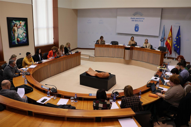 Archivo - Comisión 5ª, de sanidad, política social y empleo del Parlamento de Galicia.