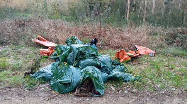 Bolsas de basura halladas en Cuntis (Pontevedra), fotografiadas por el alcalde, Manuel Campos.