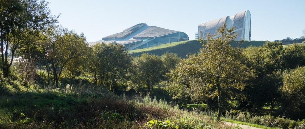 Bosque de Galicia, en el monte Gaiás, de la Cidade da Cultura