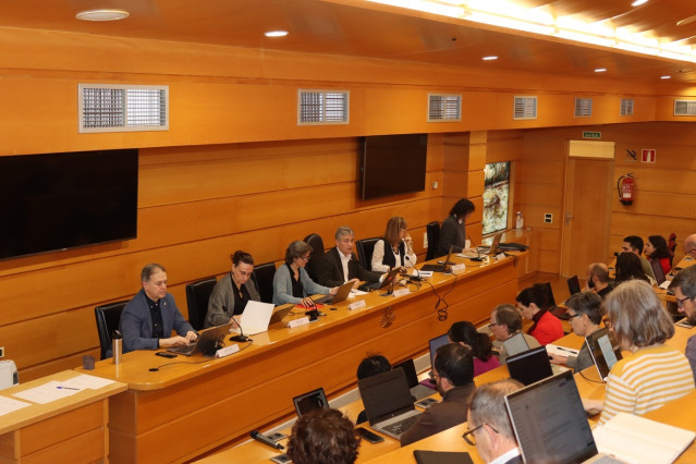 Consello de Goberno de la UDC