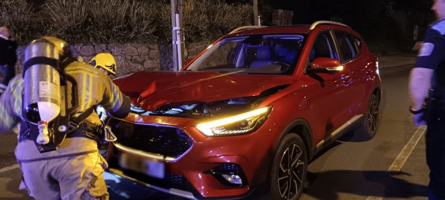 Los bomberos ante el vehículo contra el que colisionó el caballo.