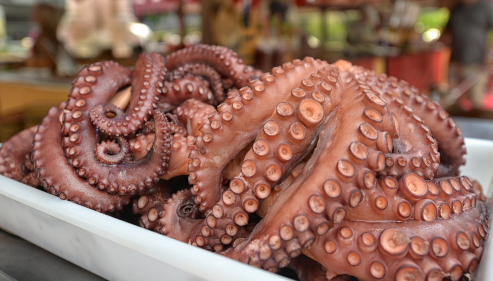 Archivo - Publicado el plan de gestión del pulpo en Galicia para la campaña 2025-2026