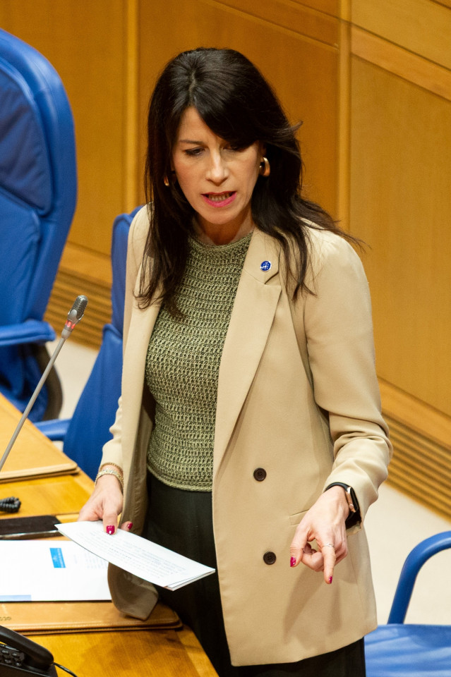 La conselleira de Vivenda e Planificación de Infraestruturas, María Martínez Allegue, en una intervención en el pleno del Parlamento de Galicia.