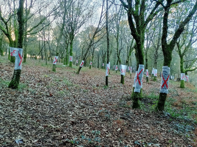Imagen de la zona con la protesta de los ecologistas.