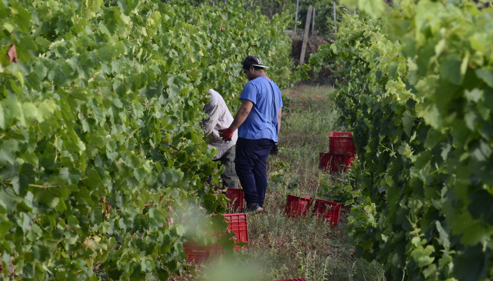 Archivo - Trabajadores en un municipio ourensano