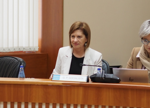 La viceportavoz del Grupo Parlamentario Socialista, Elena Espinosa.