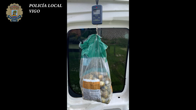 Almejas decomisadas a dos mariscadores furtivos sorprendidos en la playa de Ríos de Fóra en Teis (Vigo), el 20 de abril de 2025.