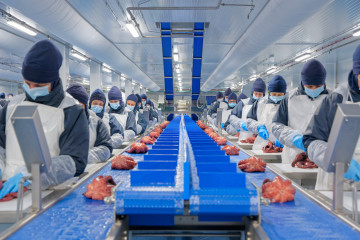 Archivo - Imagen de una factoría de Profand en Vilagarcía (Pontevedra).