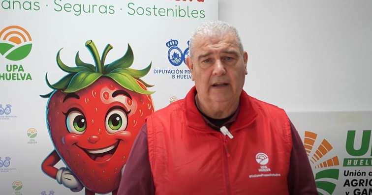 Fresas y arándonos gratis en el Obradoiro: agricultores repartirán miles de kilos