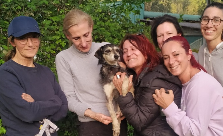 Encontrado Flaco, el perro perdido cuando lo iban adoptar tras 11 años en el refugio