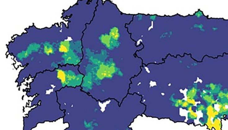 Estas son las zonas de Galicia con más riesgo de Lyme por garrapatas