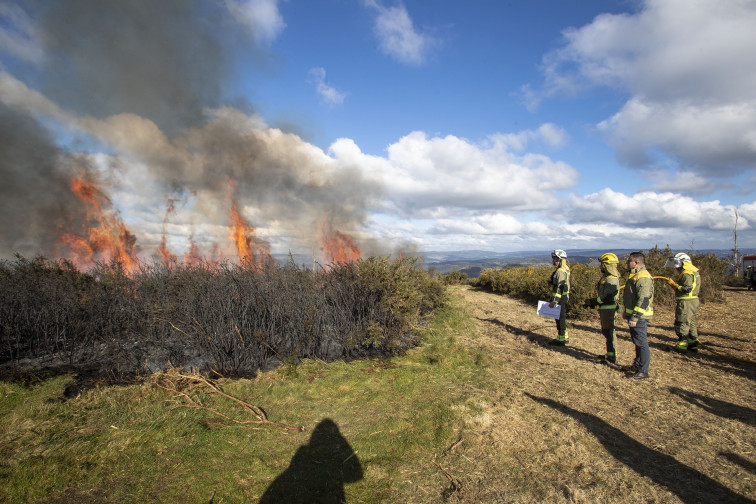 Medio Rural realizará doscientas cincuenta quemas preventivas para prevenir incendios forestales