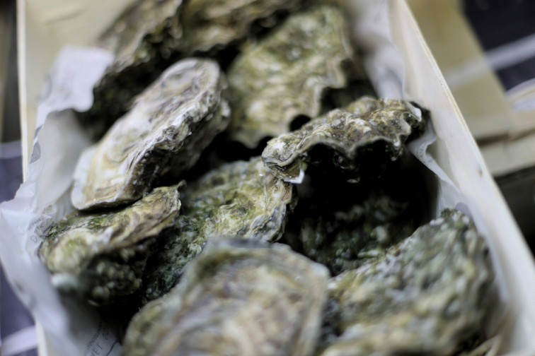 Hong Kong suspende la compra de ostras crudas a una empresa de O Grove tras varias intoxicaciones