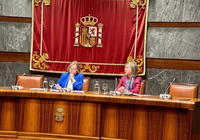 Presentación del Informe sobre víctimas mortales de la violencia de género y doméstica en el ámbito de la pareja o expareja, del Observatorio del Consejo General del Poder Judicial (CGPJ)