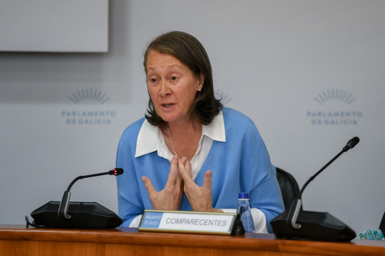 Dimite la directora xeral de Patrimonio Cultural, María del Carmen Martínez