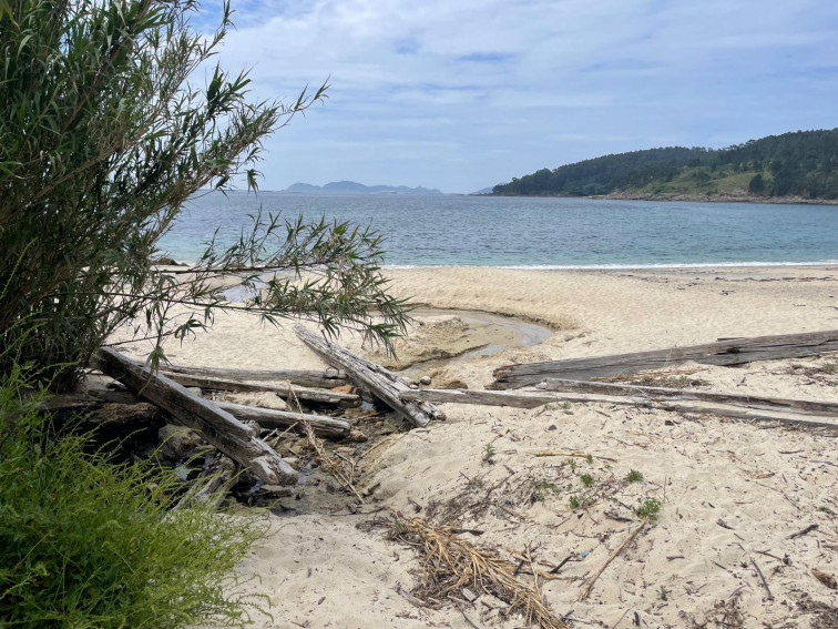 Maderas de bateas se acumulan en las playas de Cangas y otros arenales de la Rías Baixas