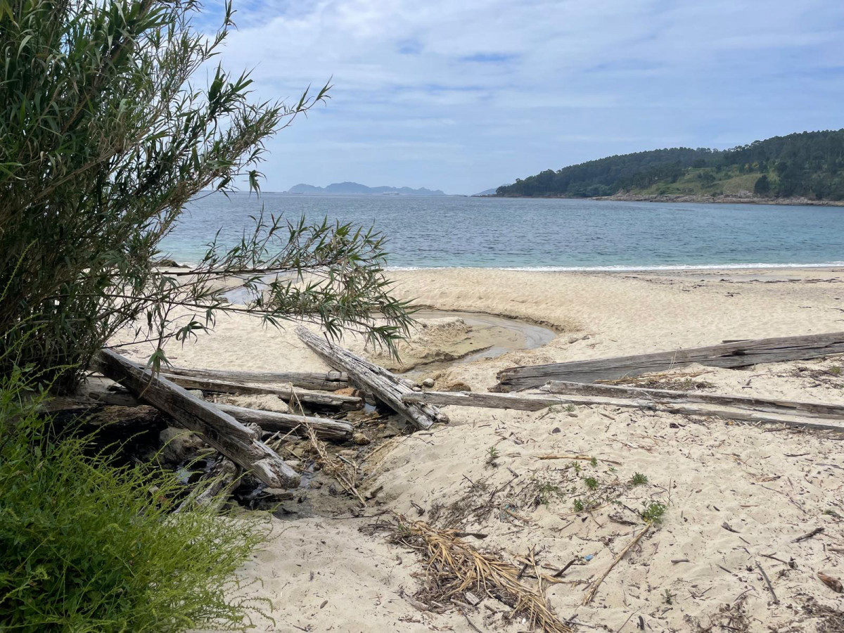 Maderas de batas acumuladas en Santa Marta, Cangas en una foto de E. Gonzu00e1lez