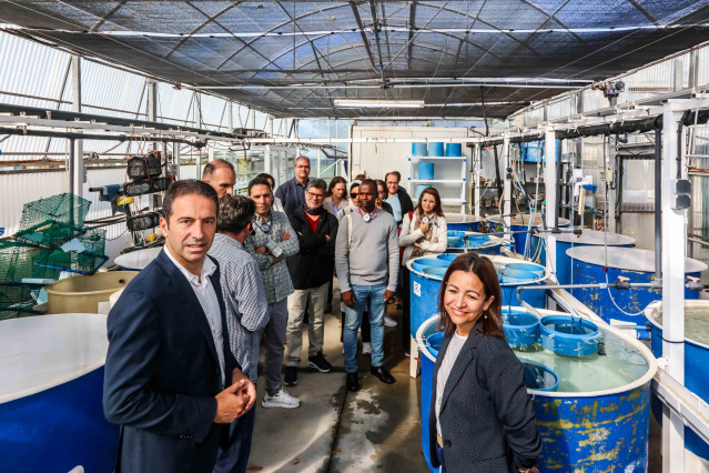 Delegaciones internacionales de acuicultura visitan el Instituto Galego de Formación en Acuicultura (Igafa)