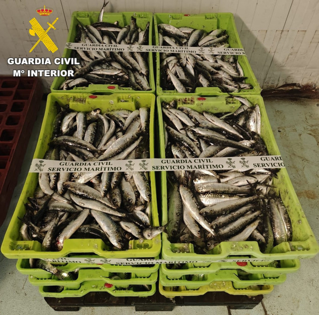 La Guardia Civil se incauta de más de 200 kilos de sardina procedentes del puerto de Corcubión (A Coruña), y que no habían sido declarados en los albaranes del camión que transportaba el pescado.