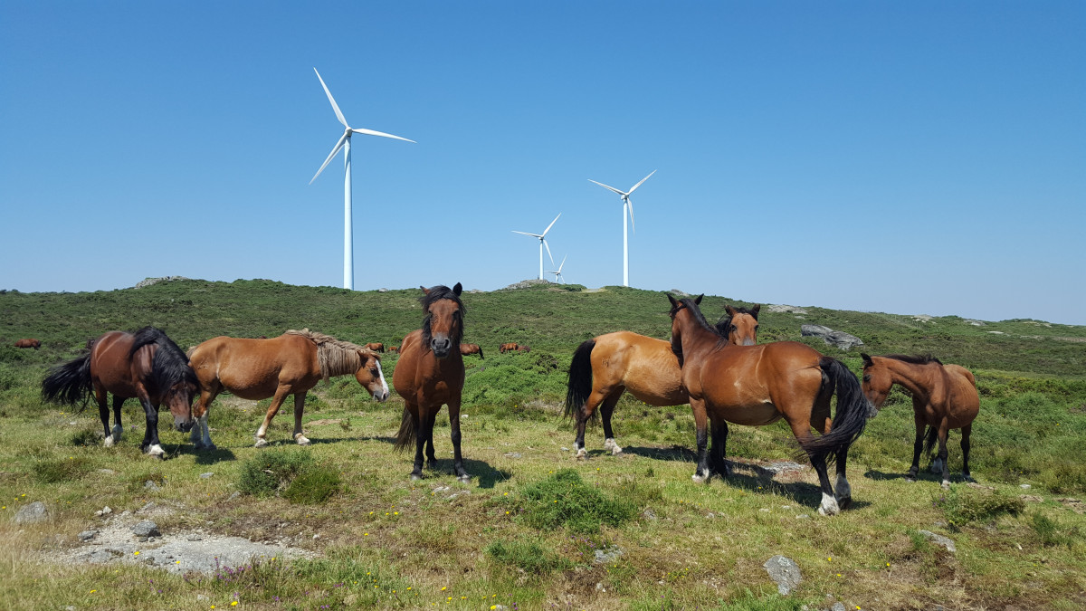 Parque eu00f3lico iberdrola galicia