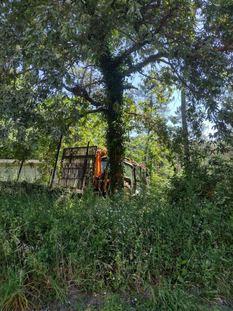 Un operario fallece al caerle encima un árbol que estaba cortando en Outes