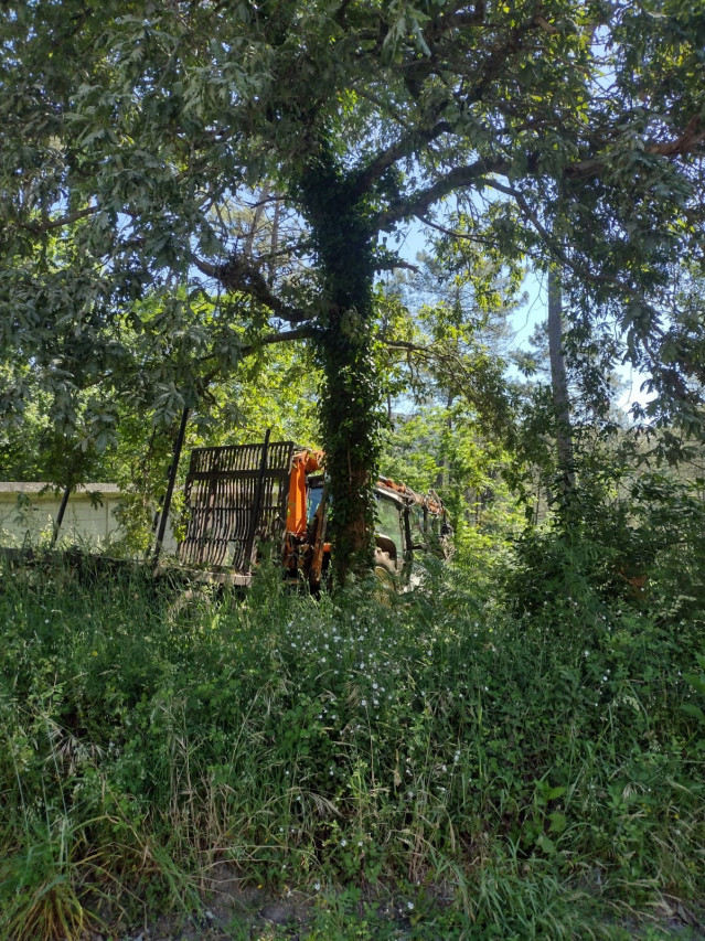 Fallece un operario en Outes (A Coruña) tras caerle encima el árbol que talaba.