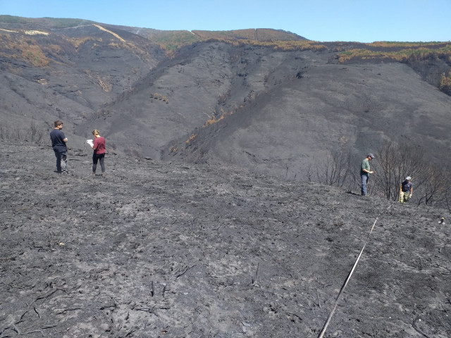Archivo - Técnicos del Centro de Investigación Forestal de Lourizán (Pontevedra) evalúan los daños en la Serra do Courel (Lugo) provocados por los incendios.