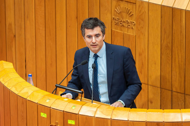 El líder del PP de Santiago, Borja Verea.