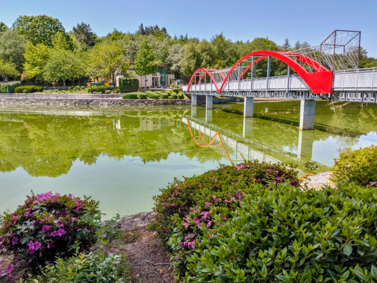Las cianobacterias vuelven a teñir de verde tóxico el embalse de As Conchas y A Limia